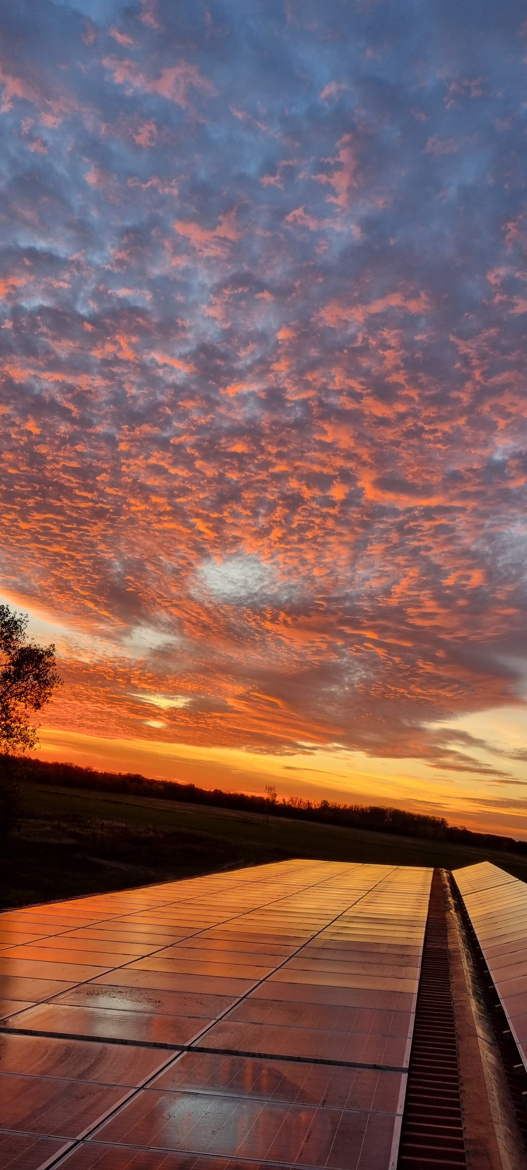 Story / Historie light