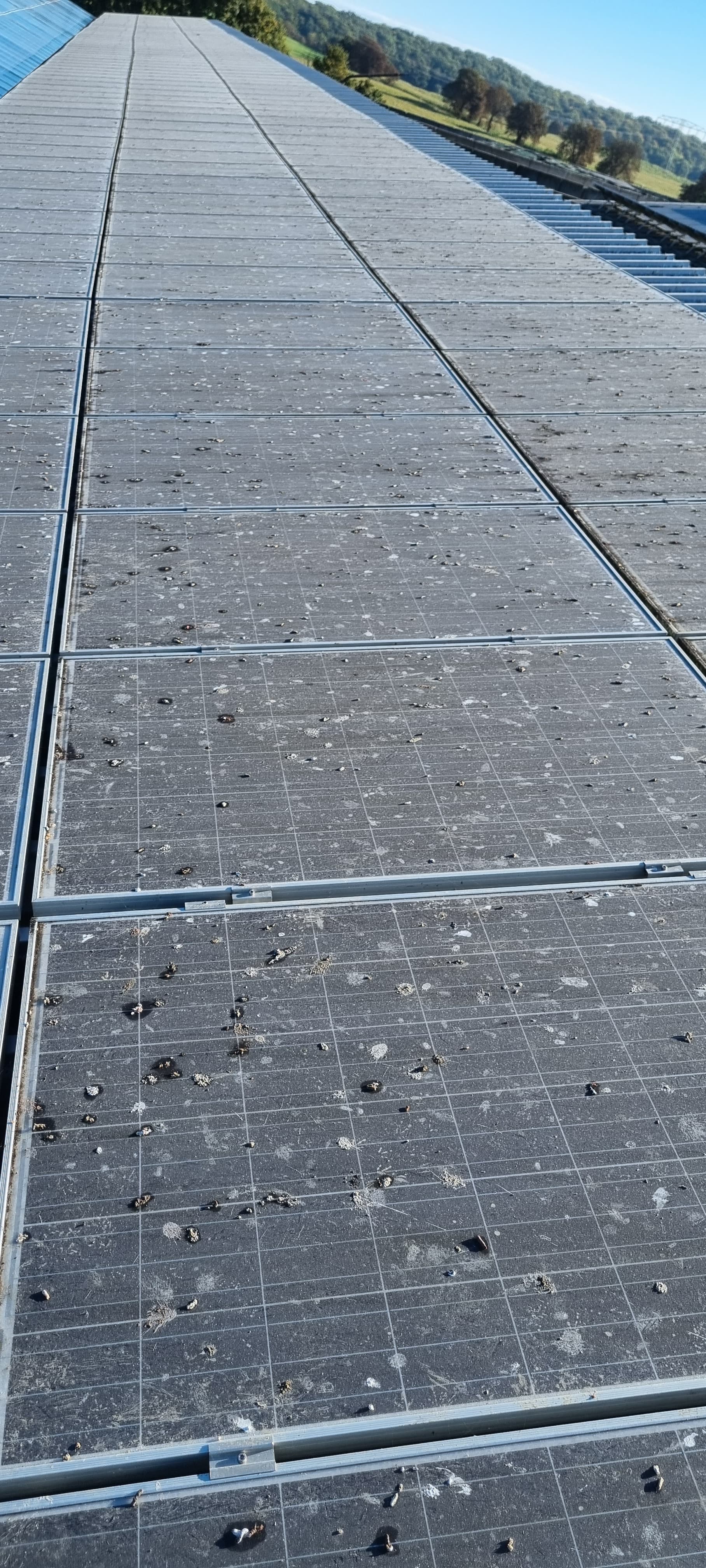 Reinigung in Karlsburg - vorher