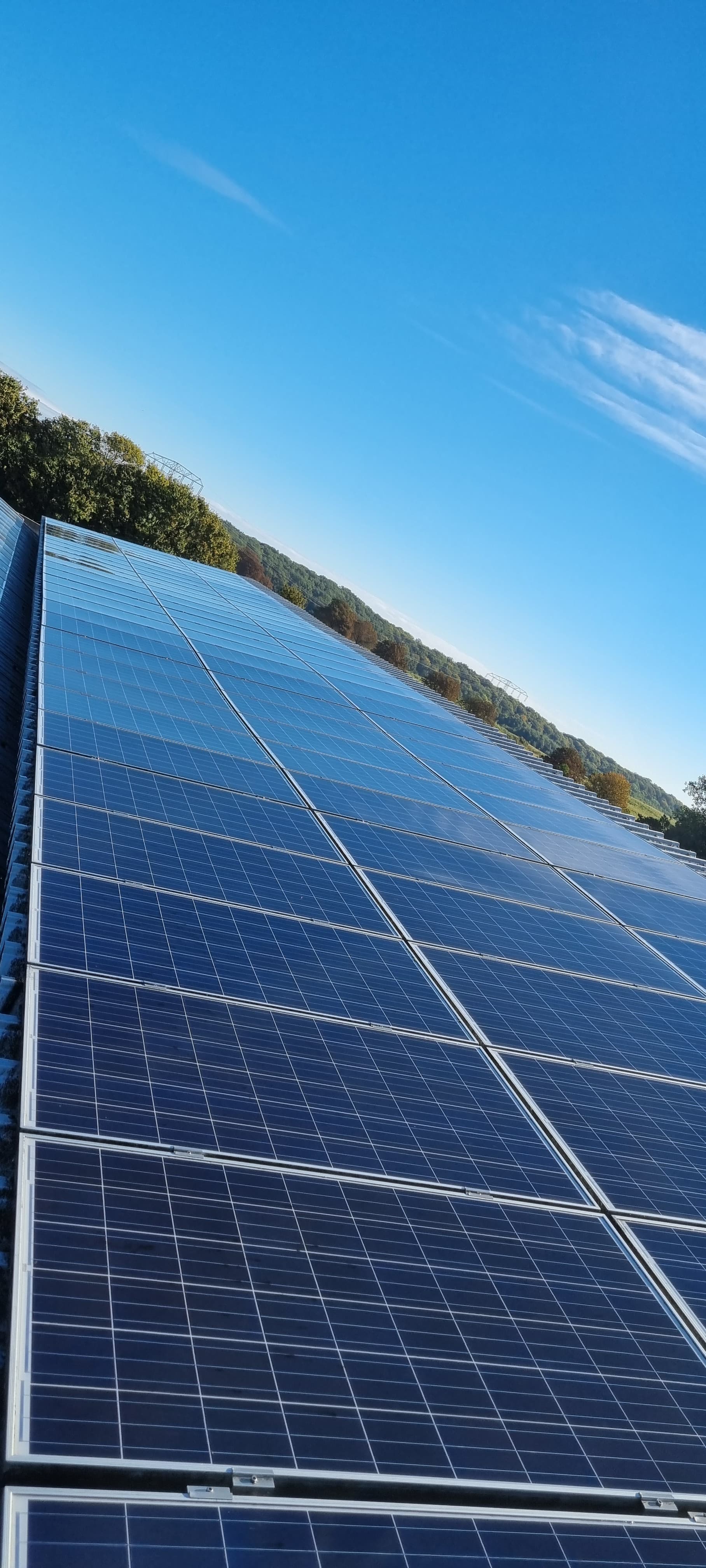 Reinigung in Karlsburg - nachher