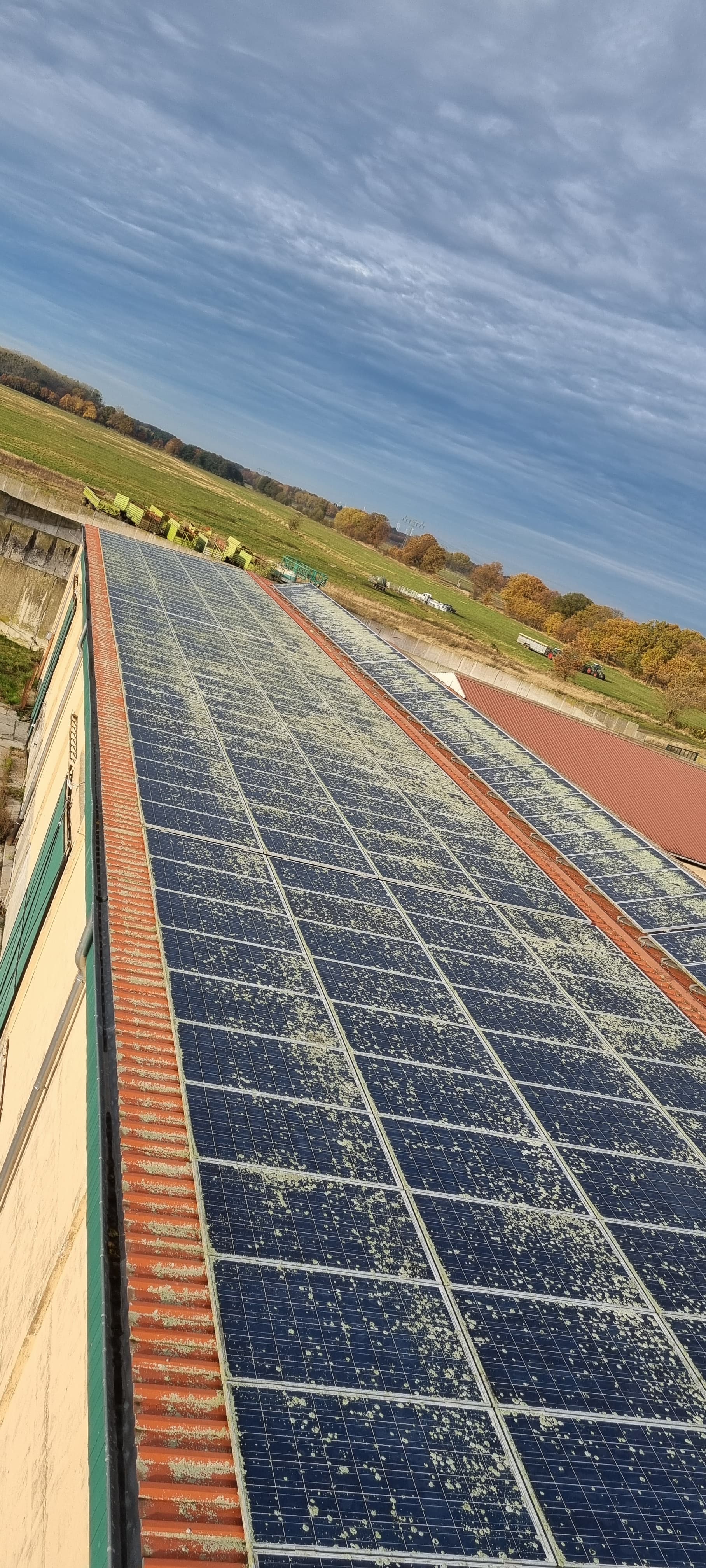 Reinigung in Greifswald - vorher